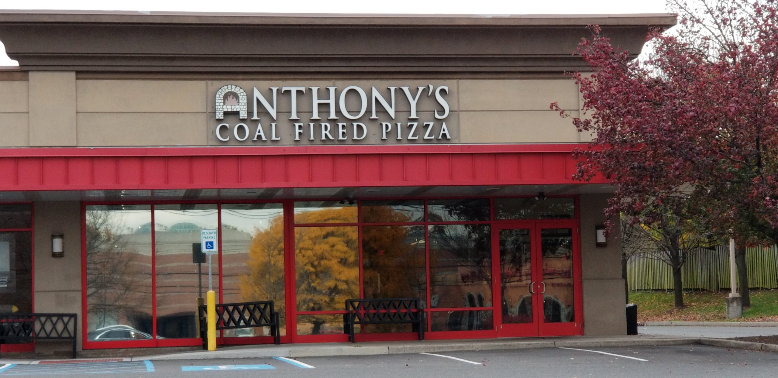 Anthony's Coal Fried Pizza | Premier Glass of New York